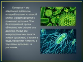 Роль бактерий в медицине (5 класс), слайд 2