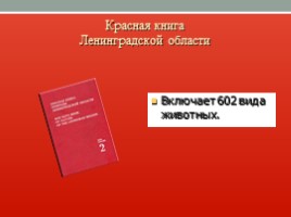 Красная книга Ленинградской области, слайд 6