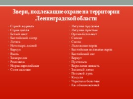 Красная книга Ленинградской области, слайд 7