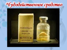 Открытие пенициллина (9 класс), слайд 9