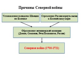 Великая Северная война 1700-1721 гг. (8 класс), слайд 11