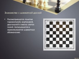Технология обучения и методика проведения занятий в условиях реализации программы дополнительного образования «Шахматы», слайд 7