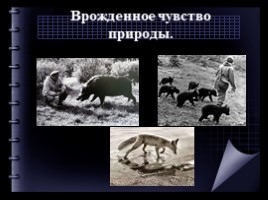 Жизнь и творчество Василия Пескова (7 класс), слайд 8