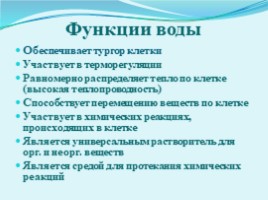 Химический состав клетки. Вода и ее роль в жизнедеятельности клетки. Минеральные вещества, слайд 12