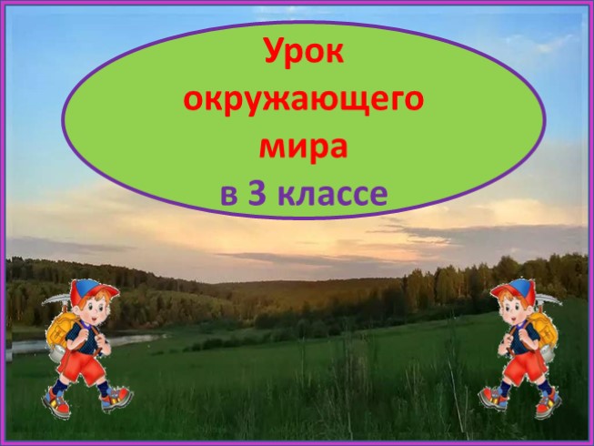 Холмы и овраги (3 класс)