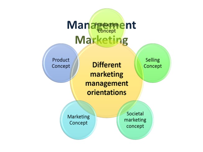 Management. Marketing (11 класс)