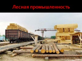 Характеристика современного развития промышленного производства в Иркутской области, слайд 5