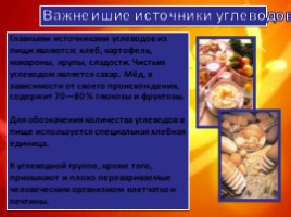Пищевые продукты и питательные вещества, слайд 11