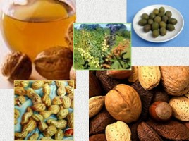 Пищевые продукты и питательные вещества, слайд 16