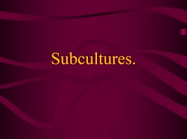 Subcultures, слайд 1