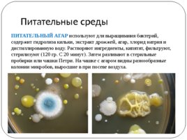 Общая Микробиология, слайд 11