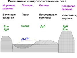 Физическая география россии и сопредельных территорий, слайд 30