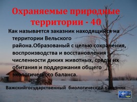 Своя игра «Архангельская область», слайд 58
