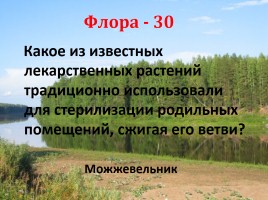 Своя игра «Архангельская область», слайд 65