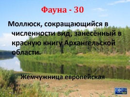Своя игра «Архангельская область», слайд 69