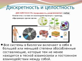 Биология – наука о живой природе, слайд 15