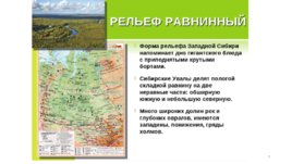 Западно-Сибирская равнина, слайд 9