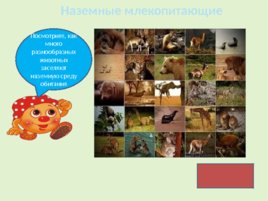 Поучительные рассказы о животных от профессора Колобкова, слайд 2