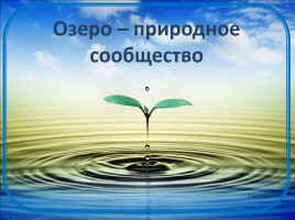 Озеро - природное сообщество, слайд 5