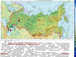 Озеро - природное сообщество, слайд 8