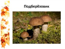 Семейка грибов на поляне, слайд 3