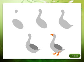 Алгоритмы рисования гуашью «Домашние птицы», слайд 11