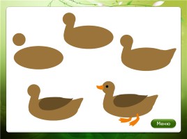Алгоритмы рисования гуашью «Домашние птицы», слайд 14