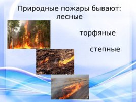 Природные пожары, слайд 1