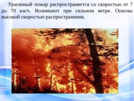 Природные пожары, слайд 10