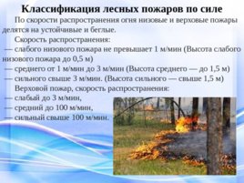 Природные пожары, слайд 13