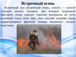 Природные пожары, слайд 18