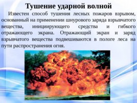 Природные пожары, слайд 19