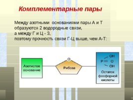 Классификация белков, слайд 63