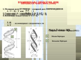 Классификация белков, слайд 71