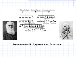 Парадигма классической генетики, слайд 16