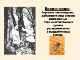 Древняя Русь IX - XIII вв, слайд 29