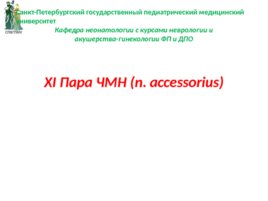 XI Пара ЧМН (n. accessorius), слайд 1