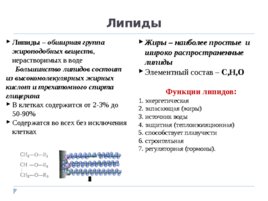 Молекулярный уровень Химическая организация клетки, слайд 5