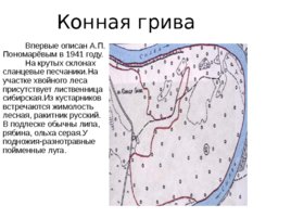 Охраняемые территории Суксунского района, слайд 5