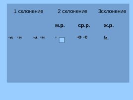 Урок русского языка:"Три склонения имён существительных", слайд 10
