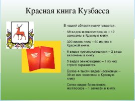 Красная книга Кузбасса, слайд 4