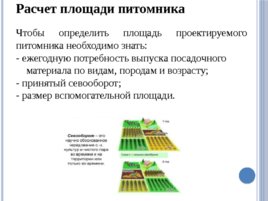 Лесные питомники: организация питомника, слайд 22
