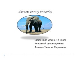 Зачем слону хобот?