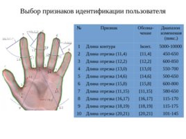 Разработка подсистемы компьютерной идентификации пользователя по биометрическим характеристикам кисти руки, слайд 4