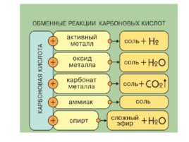Карбоновые кислоты, слайд 12