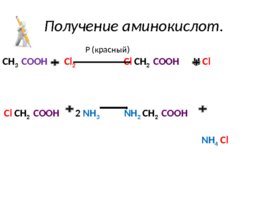 Аминокислоты (23.10), слайд 25