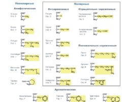 Аминокислоты (23.10), слайд 6