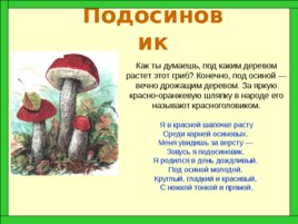 Царство грибов, слайд 12