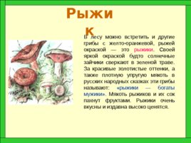 Царство грибов, слайд 16