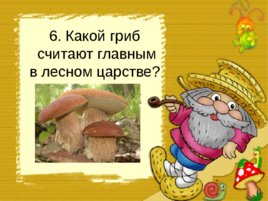 Царство грибов, слайд 47